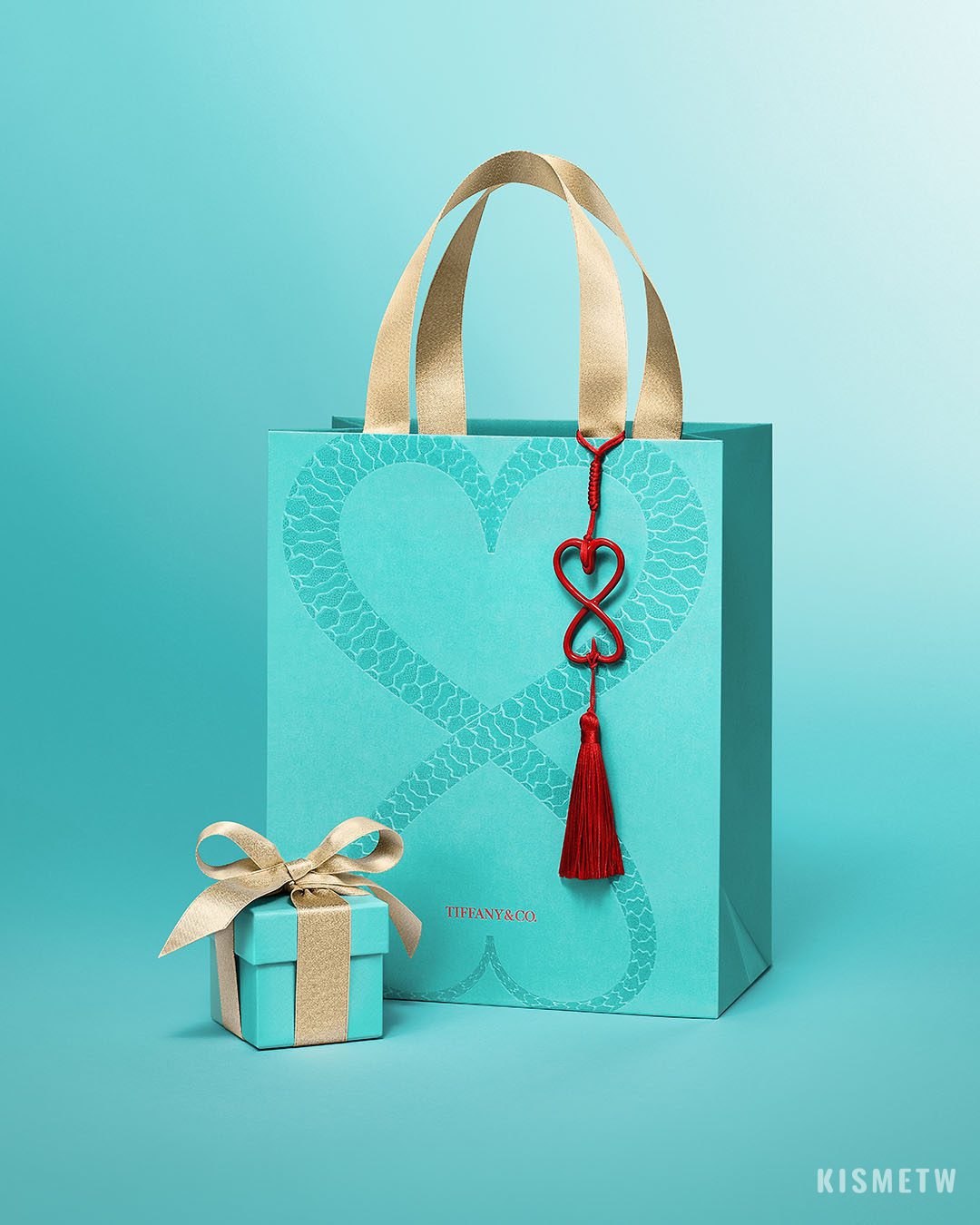 Tiffany Co. 攜手王令塵 創新詮釋蛇年華麗心意1