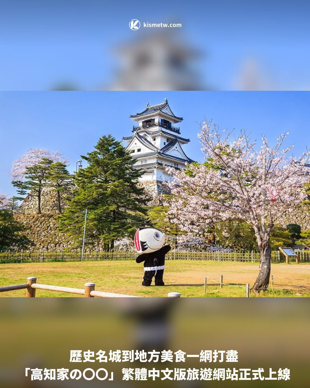 歷史名城到地方美食一網打盡 「高知家の〇〇」繁體中文版旅遊網站正式上線1