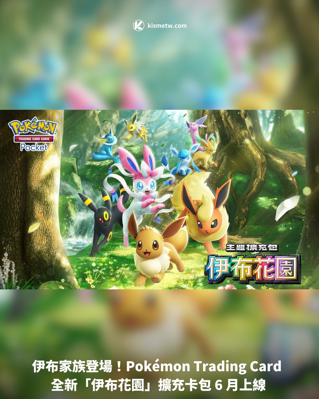 伊布家族登場！Pokemon Trading Card 全新「伊布花園」擴充卡包 6 月上線1