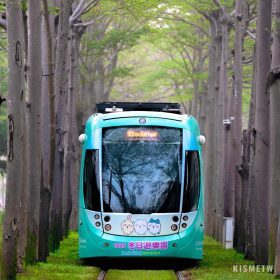 2025高雄冬日遊樂園春節盛況！近50萬人朝聖「吉伊卡哇」主題列車超萌上路