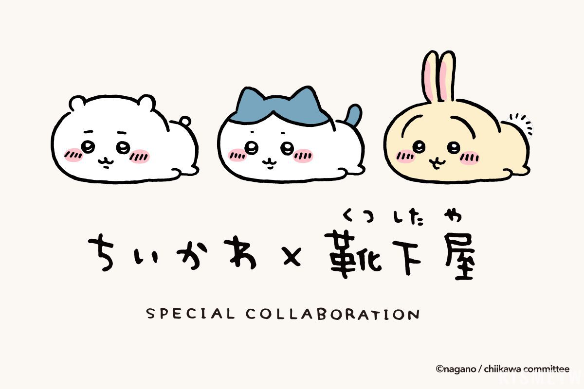 Chiikawa吉伊卡哇 × 靴下屋聯名襪第3彈！2025全新登場1