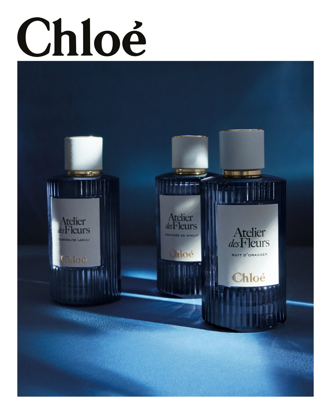 Chloe全新「Atelier des Fleurs」系列登場 日本伊勢丹新宿店限量發售 5