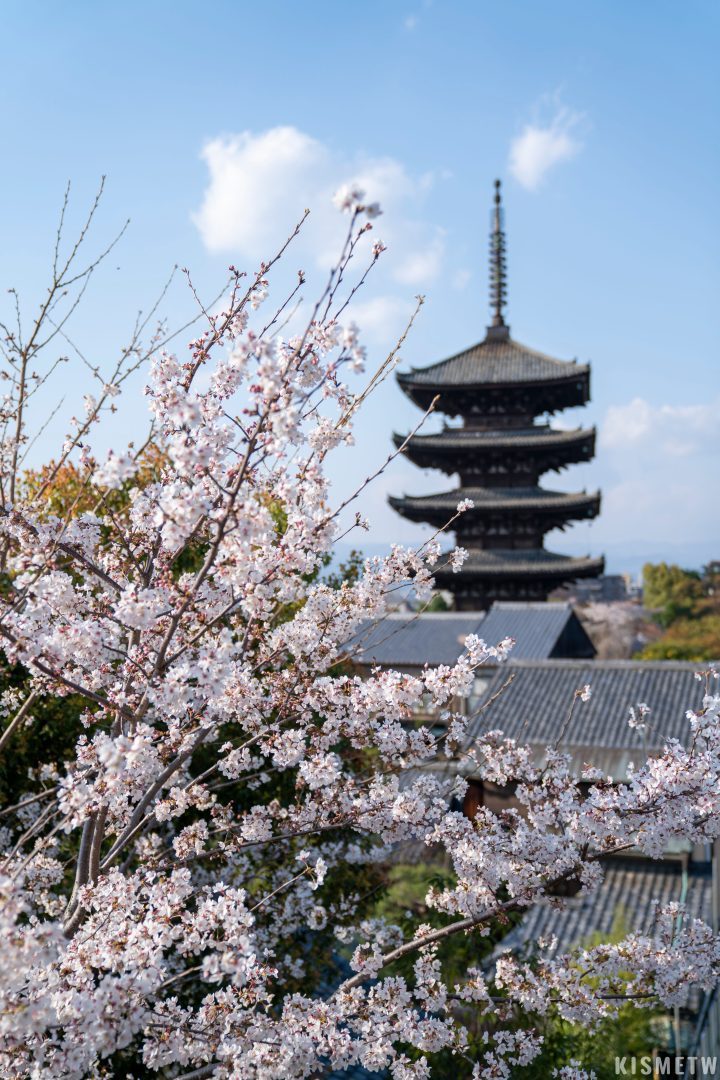 京都清水青龍酒店2025春季限定Spring SAKURA Lounge櫻花體驗 1