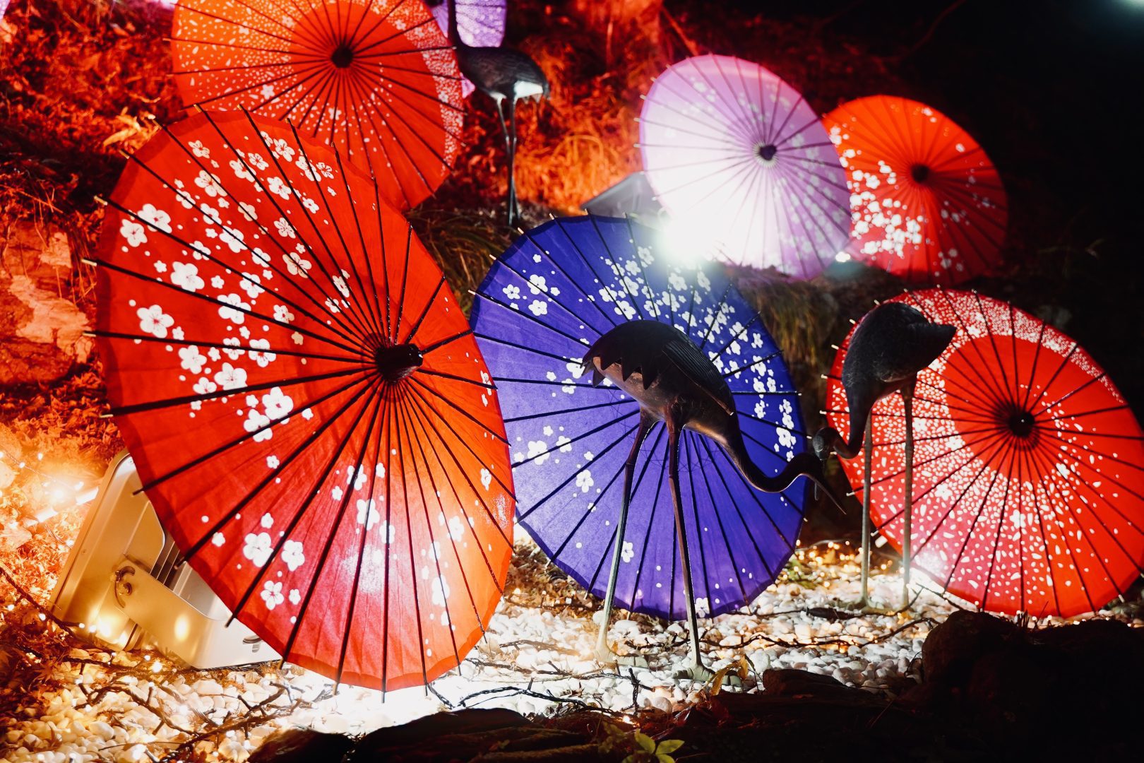 日本京都高雄ROOT2 RIVERSIDE冬の名殘燈光秀 2