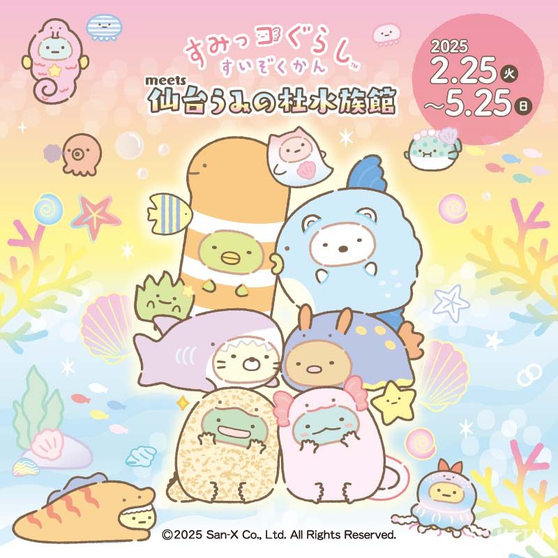 2限定美味！『角落小夥伴水族館』與仙台海洋森林水族館獨家合作菜單