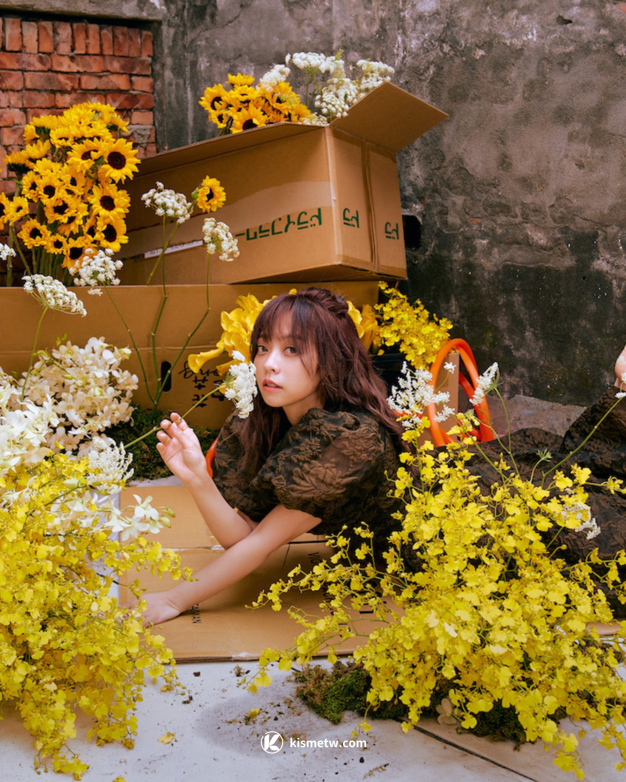 龍龍重磅回歸！2025個人秀 EP5《花光光心慌慌》5月登場，笑聲療癒人生低潮4 scaled