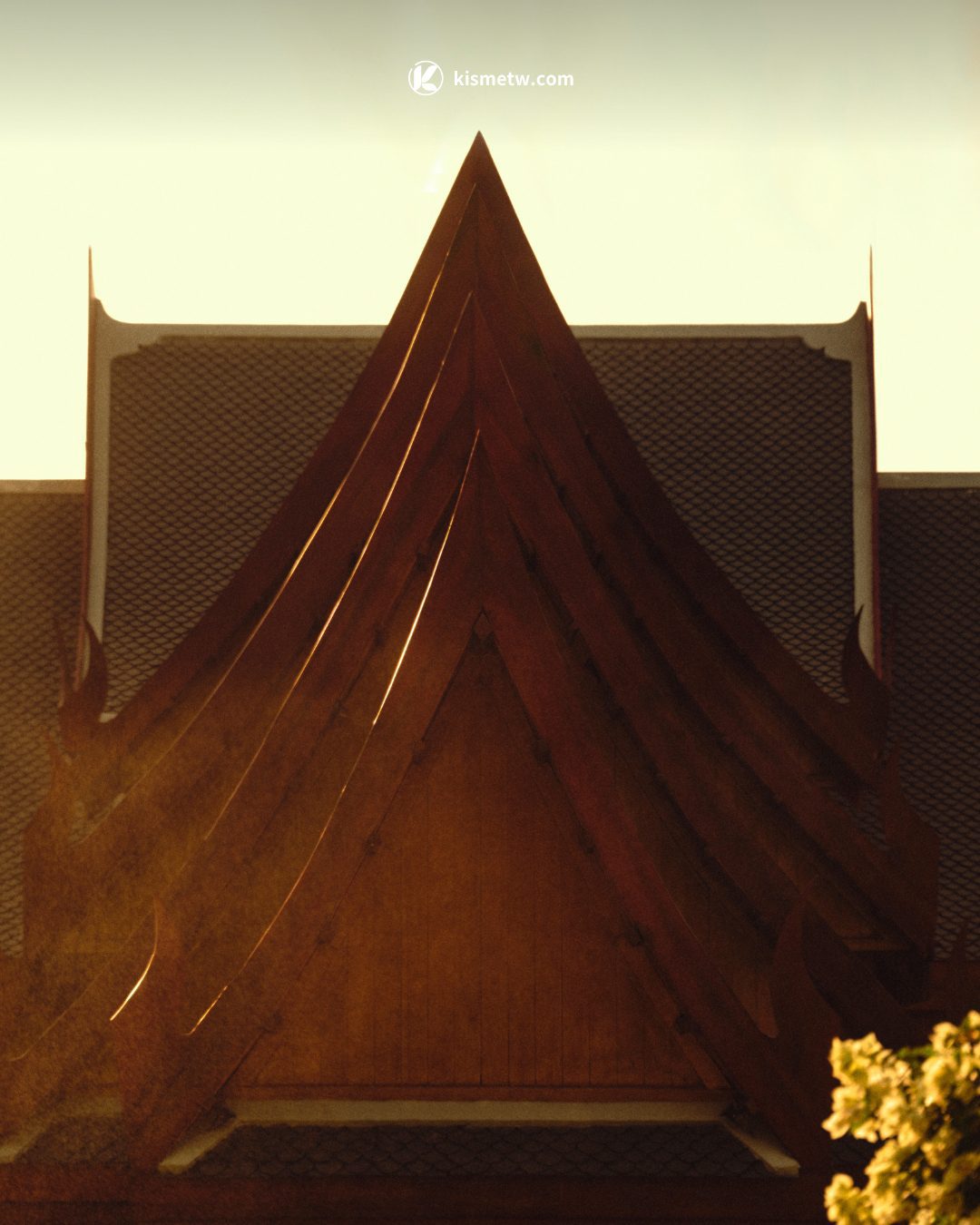 Novak Djokovic 攜手 Aman 開創「長壽之道」全球首席康養顧問打造煥新排毒計劃2