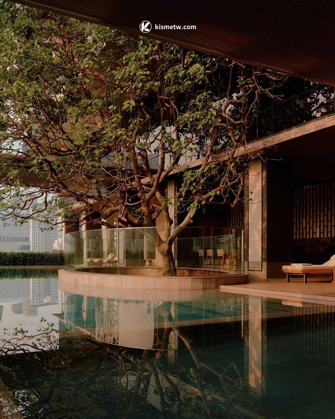 Novak Djokovic 攜手 Aman 開創「長壽之道」全球首席康養顧問打造煥新排毒計劃4