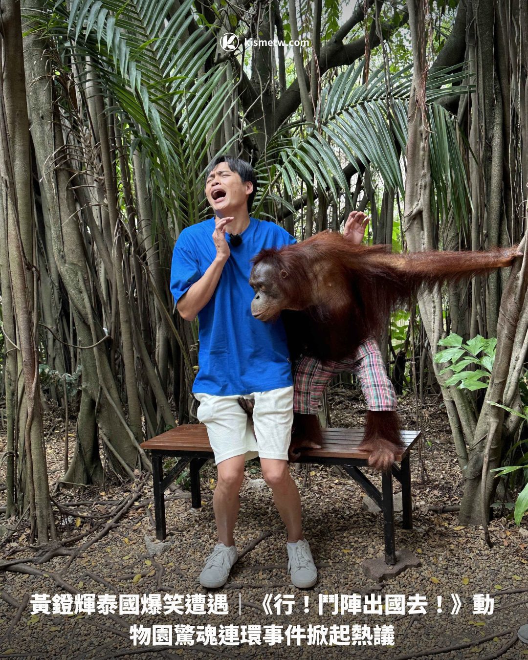 黃鐙輝泰國爆笑遭遇｜《行！鬥陣出國去！》動物園驚魂連環事件掀起熱議1