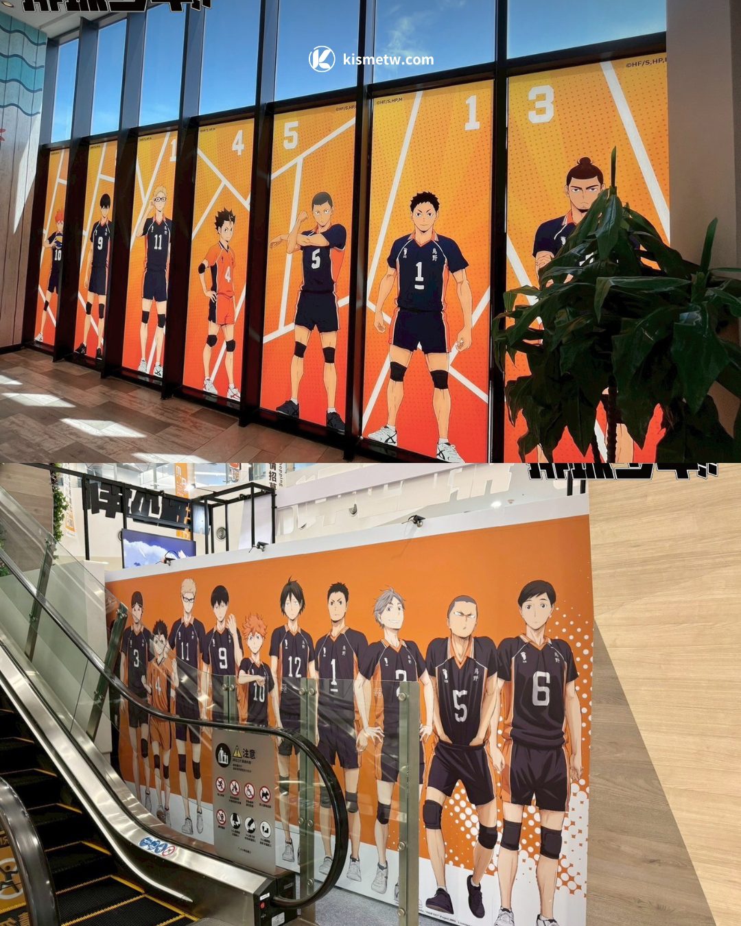 夏日動漫狂潮來襲！《排球少年!!》三地限定快閃店全台開展挑戰熱血極限 (3)