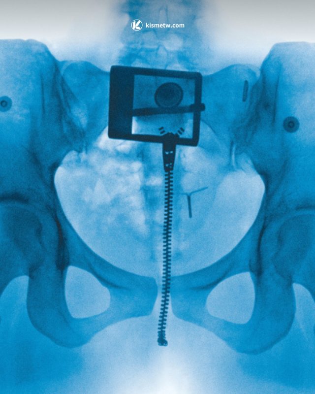 紐西蘭才女 Lorde 全新專輯《Virgin》發行 透明聲音探索女性原型自由3