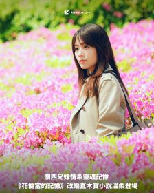 關西兄妹情牽靈魂記憶《花便當的記憶》改編直木賞小說溫柔登場