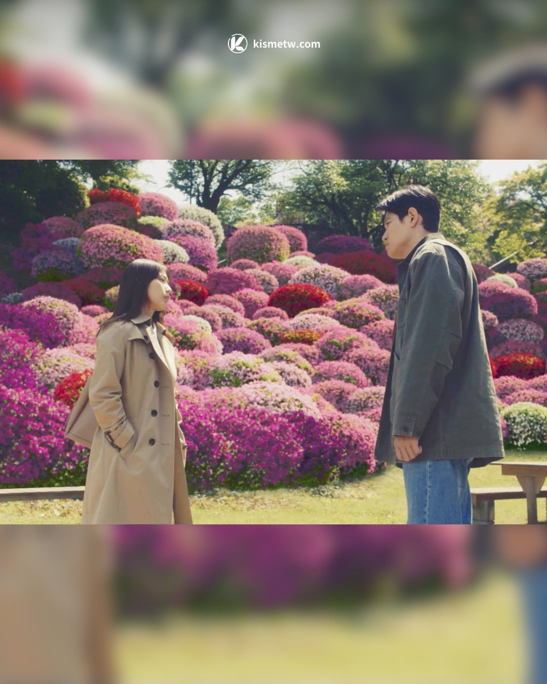 關西兄妹情牽靈魂記憶 《花便當的記憶》改編直木賞小說溫柔登場2