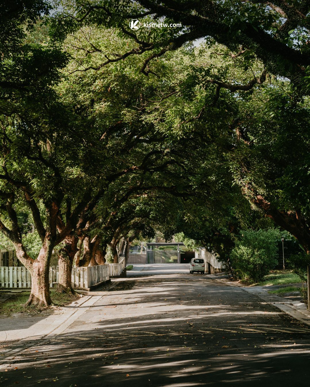 陽明山風格聚落新地標，YMS By Onefifteen開啟當代自然美學之境 (5)