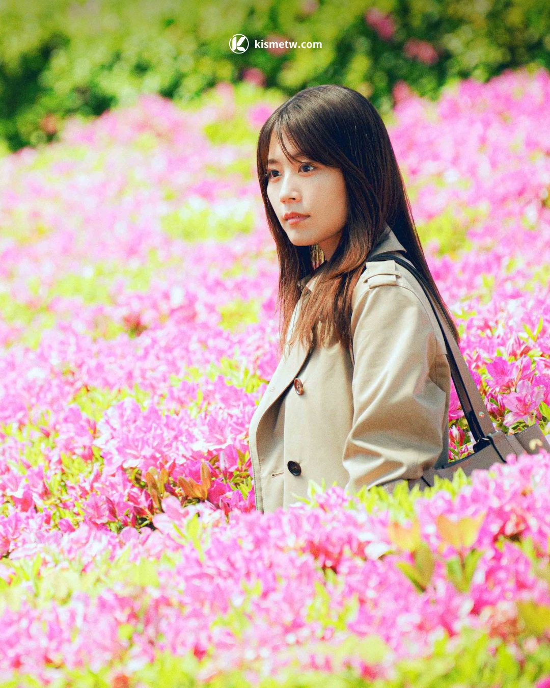 靈魂記憶重現婚禮前夕，《花便當的記憶》關西兄妹共譜命運奇幻詩篇 (3)