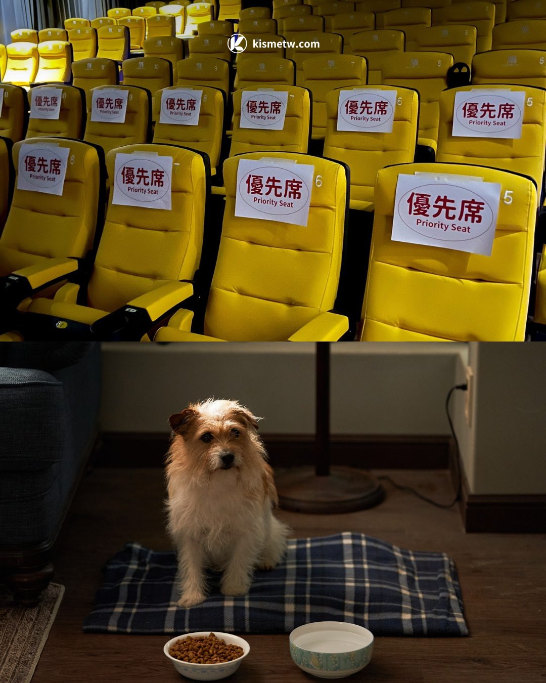 最狂奶奶殺手電影《聖母殺手》718上映，韓國熱映十週、亞洲唯一一刀未剪版搶先登台！ (2)