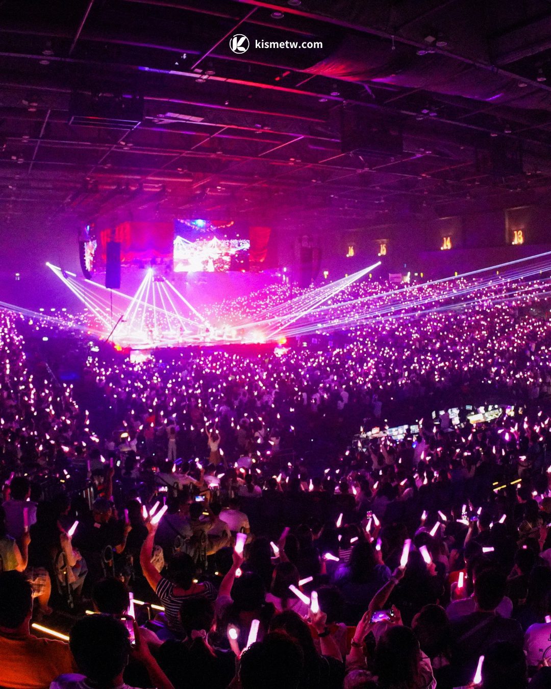 濱崎步 2025 台北演唱會再加場 秒殺完售後加碼 81 場次引爆搶票熱潮5