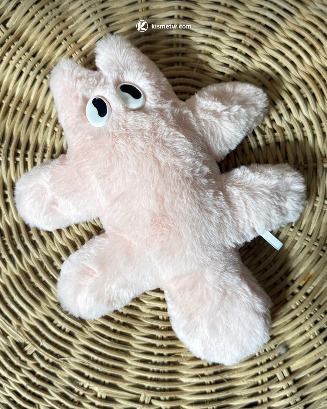 粉嫩貓星人 ingki 空降台中誠品 限定周邊×夏日寵粉祭同步登場5