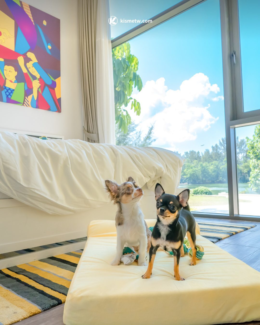 布吉島樂古浪度假全攻略｜RAVA 海灘俱樂部開幕引領跨世代家庭旅遊新浪潮3