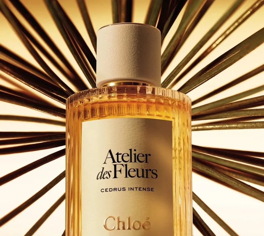 Chloe全新香氛重塑雪松經典｜Atelier des Fleurs Cedar Intense 2025年上市2