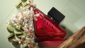 Prada Beauty全新香氛〈Prada Paradoxe Radical Essence〉｜多面自我再定義的前衛花香體驗