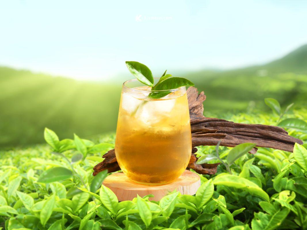 中秋聚餐更輕盈 日出茶太與翰林茶館週三「無糖日」限時優惠 9 中秋聚餐更輕盈 日出茶太與翰林茶館週三「無糖日」限時優惠3