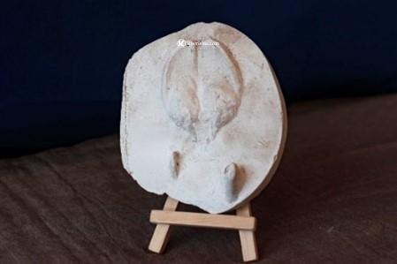 輕井澤淺間王子大飯店冬季尊榮體驗｜星空觀賞與法式晚宴結合夜間野生之旅5