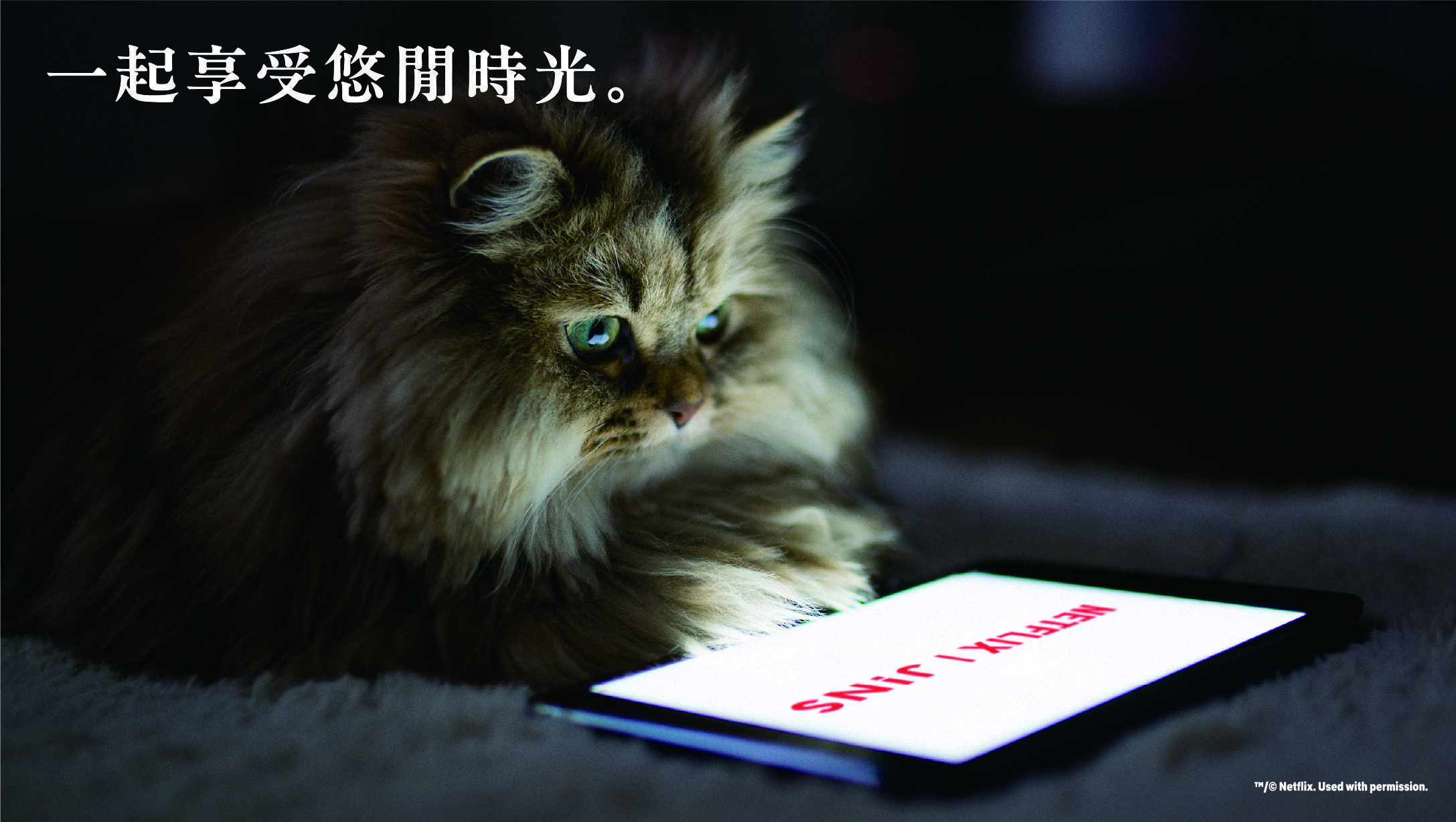 JINS攜手Netflix推出宅家眼鏡新標竿｜全新聯名系列舒適登場 2