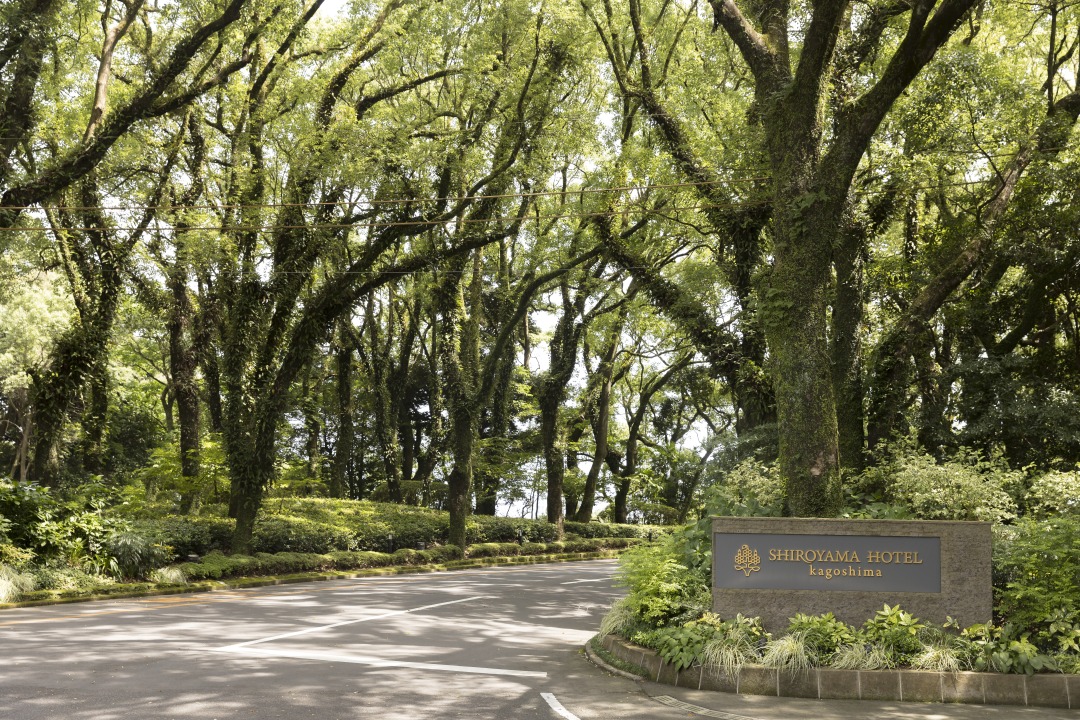 SHIROYAMA HOTEL kagoshima榮獲三大溫泉大賞肯定：美肌、料理、絕景日本全國頂尖13