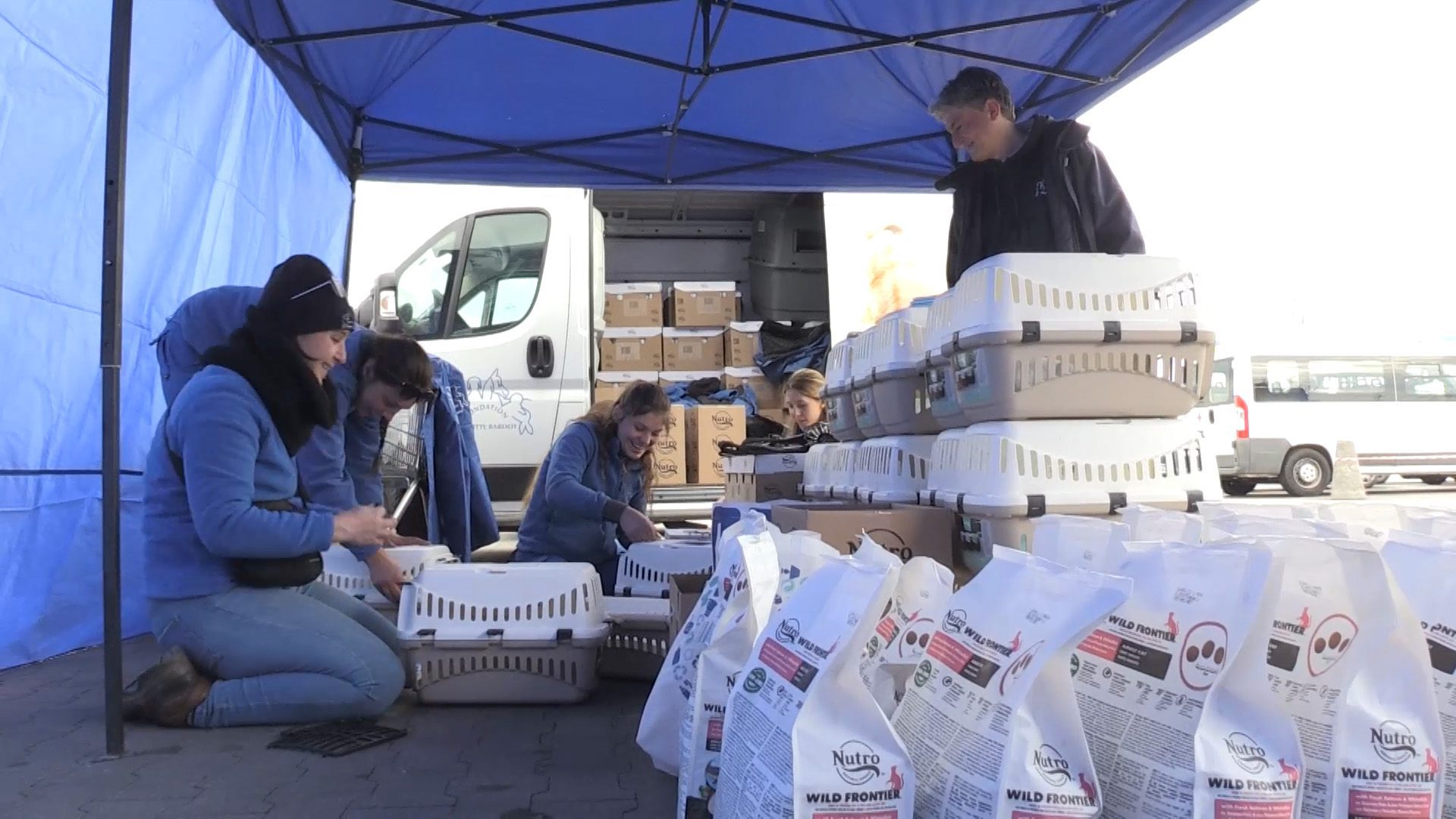 從戰火中救出的微光：山田茜紀錄片《戰火下的毛孩》感動問世 (1)