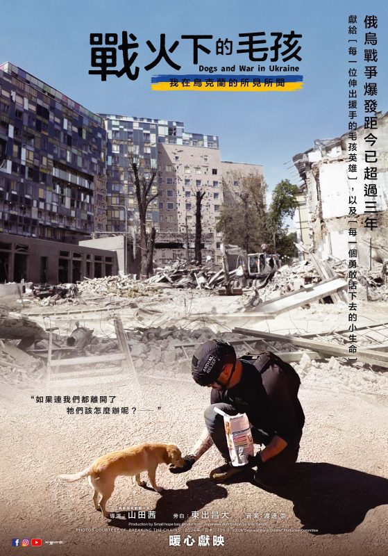 戰爭裂縫中的牠與他，《戰火下的毛孩》導演山田茜鏡頭下不被遺忘的生命真相 5