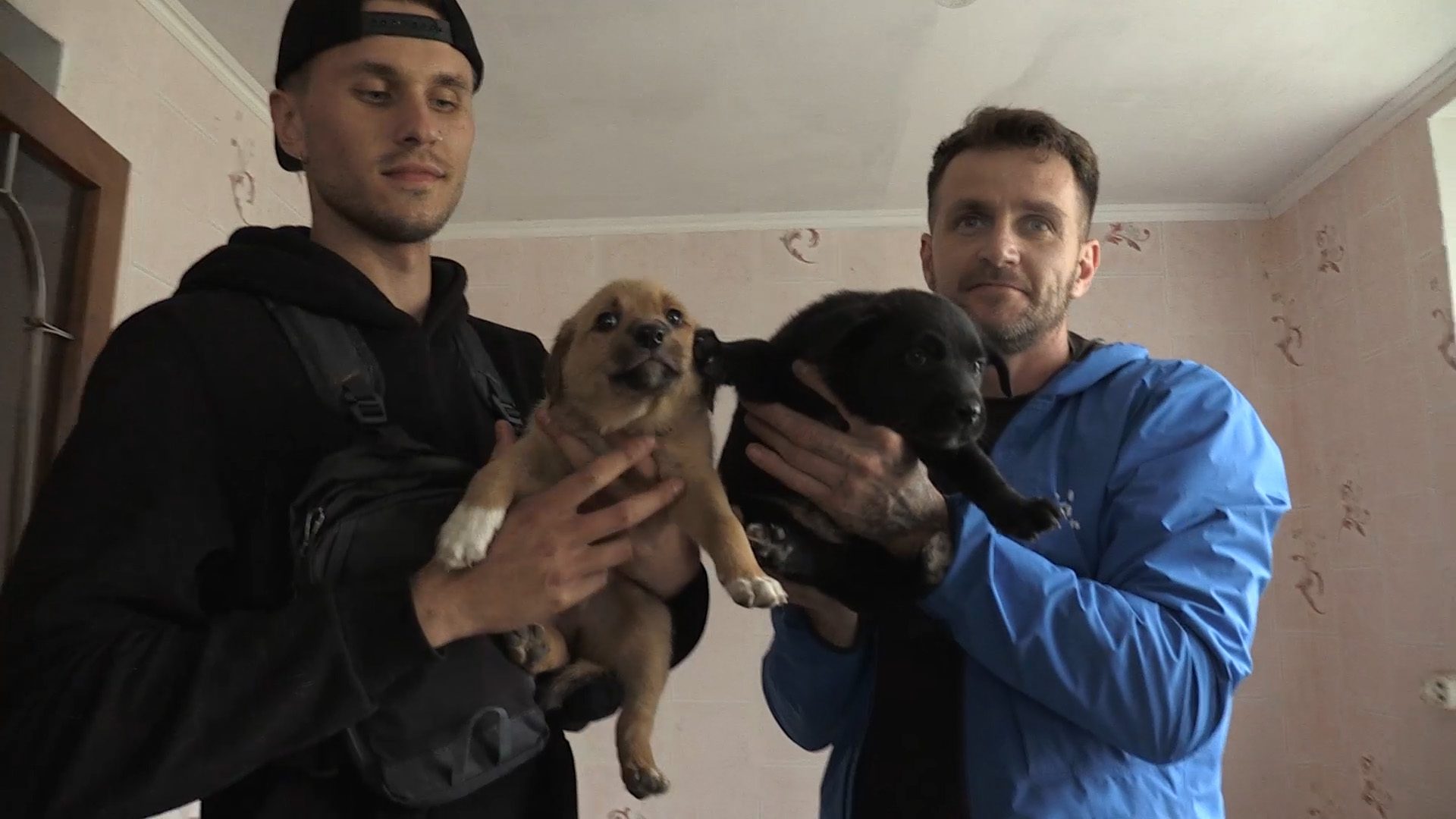 戰爭裂縫中的牠與他，《戰火下的毛孩》導演山田茜鏡頭下不被遺忘的生命真相 (7)