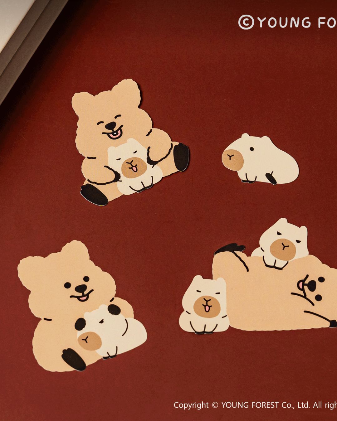 閃耀的療癒形象｜勾卡KKOTKA快閃店12月15日現身Dream Plaza2