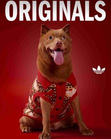 adidas Originals三葉草寵物系列2026春季登場｜新年限定與ADICOLOR延伸主人毛孩穿搭默契