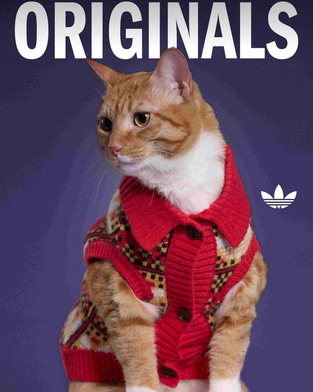 adidas Originals三葉草寵物系列2026春季登場｜新年限定與ADICOLOR延伸主人毛孩穿搭默契3