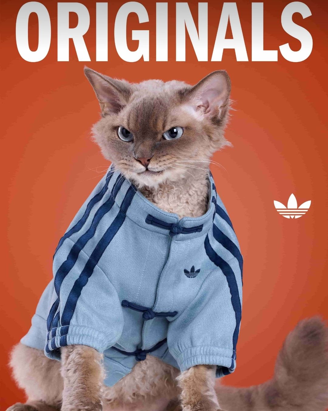 adidas Originals三葉草寵物系列2026春季登場｜新年限定與ADICOLOR延伸主人毛孩穿搭默契5