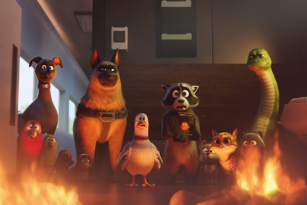 《萌寵列車》春節檔動畫焦點｜可愛寵物碰撞犯罪冒險展開火車逃亡