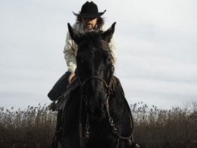 奔馳藝術跨年界限：Canada Goose與Matt McCormick聯名詮釋火馬年能量膠囊系列