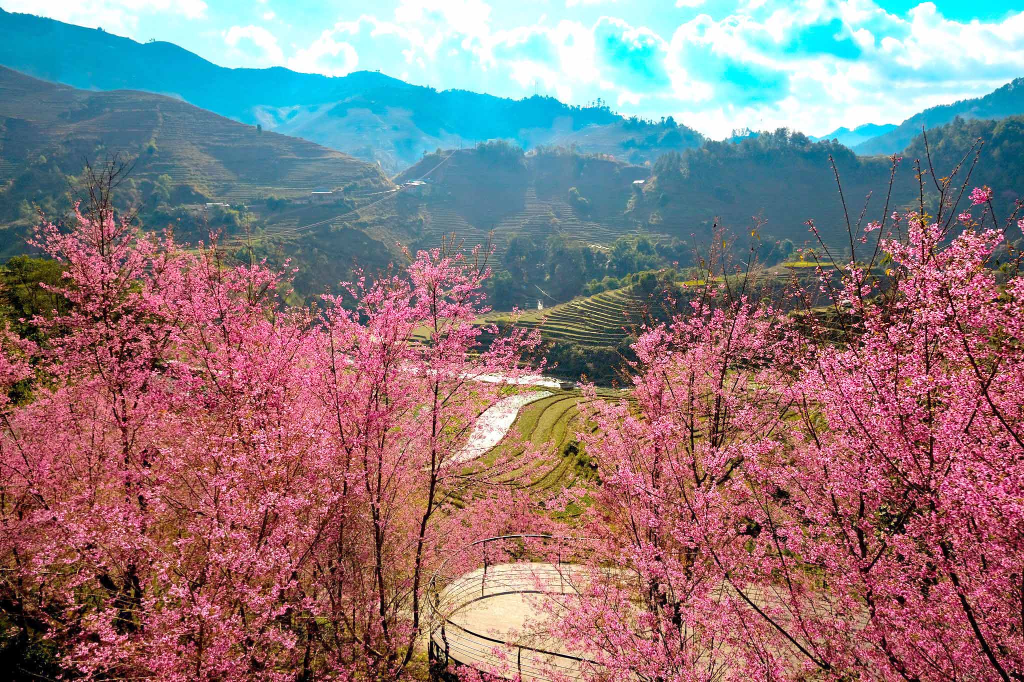 緩旅迎春，木江界悅柳酒店 Garrya Mù Cang Chải以高地文化獻上靜心新歲 (4)