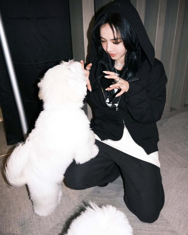 蔡依林《PLEASURE》台北大巨蛋最終章落幕｜BVLGARI珠寶映照舞台與後台的多重光芒2