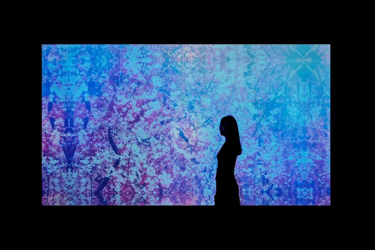 蜷川實花《彼岸之光，此岸之影》沉浸式光影展｜台北華山獨家首發全新展區4