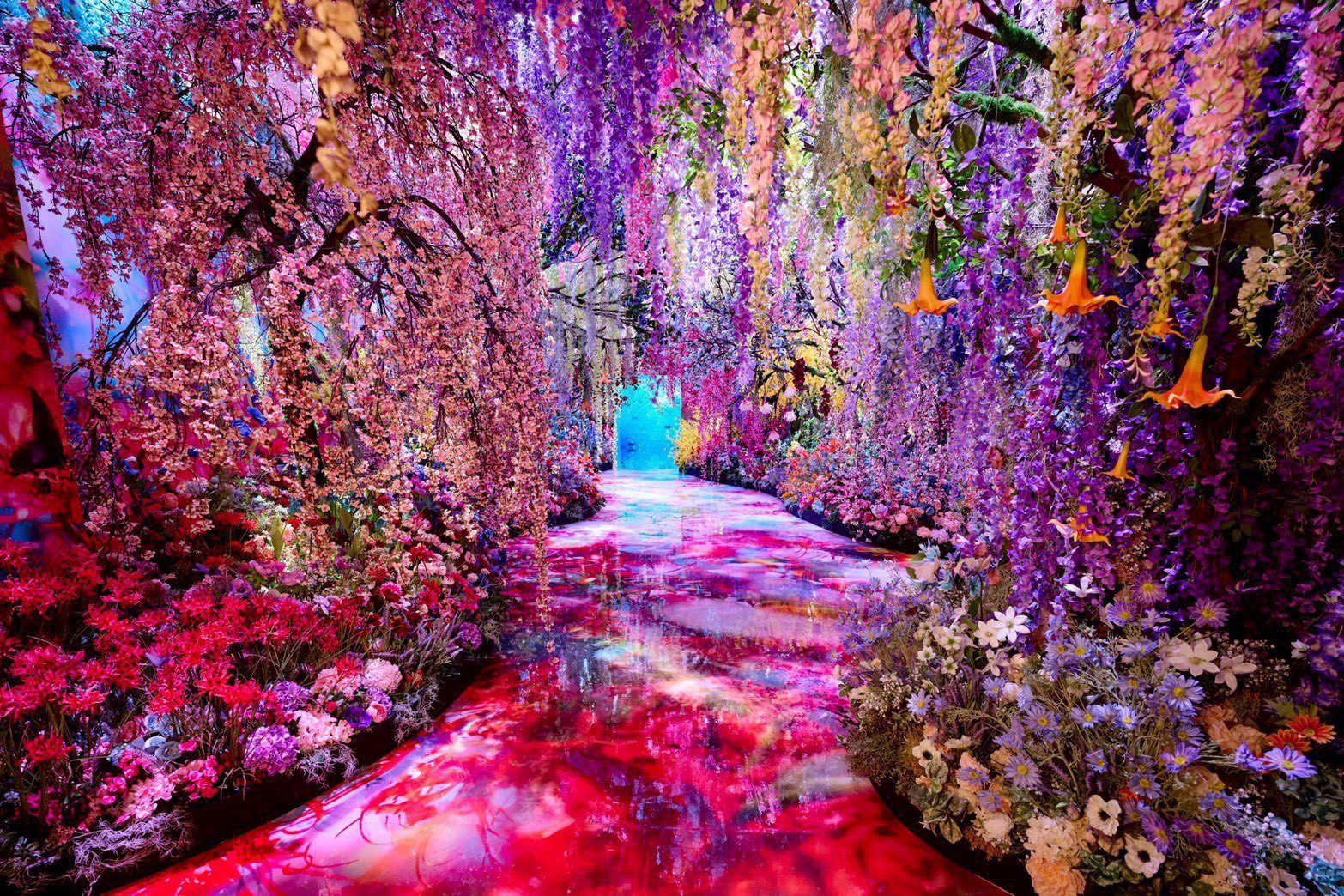 蜷川實花《彼岸之光，此岸之影》沉浸式光影展｜台北華山獨家首發全新展區9