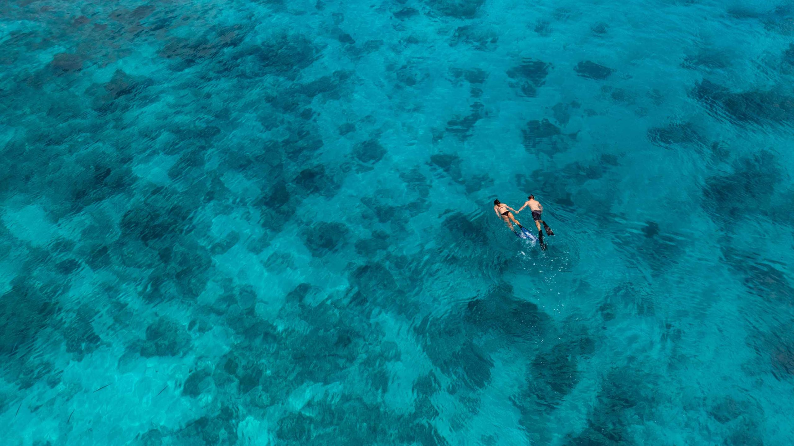 TaniaAraujo20220419 DJI 0146