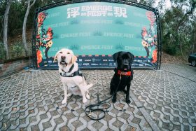 浮現祭Emerge Fest清水開唱｜六萬樂迷共創跨國音樂盛會