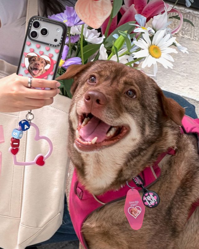 CASETiFY寵物客製系列登場 打造專屬毛孩手機殼新風格1