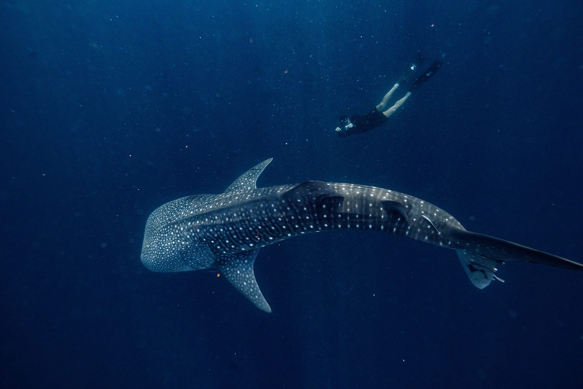 安縵串起印尼文化版圖　五地展開沉浸式旅居新章 (2)