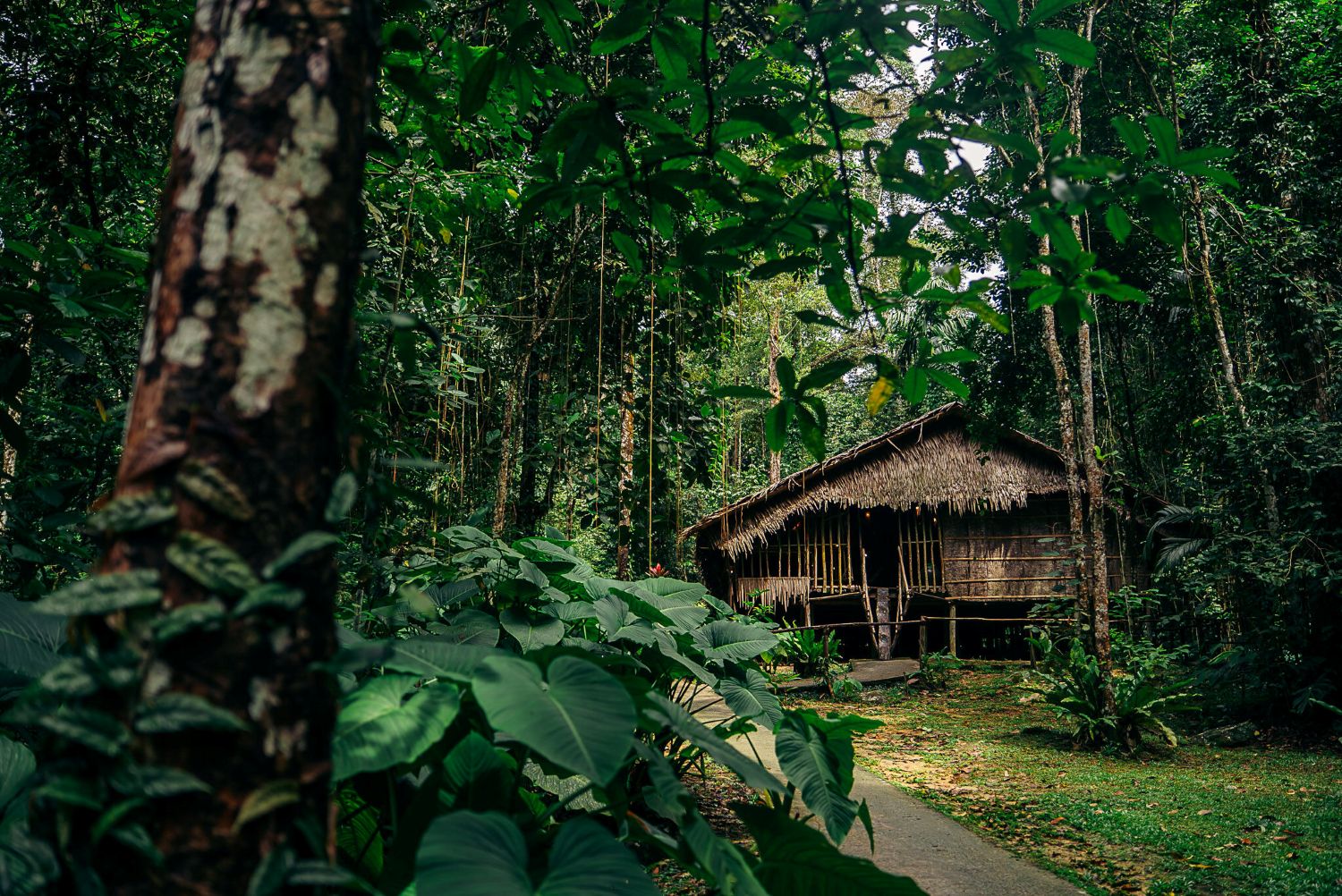 沙巴婆羅洲隱奢新地標登場 Club Med全包式度假開放預訂 (7)