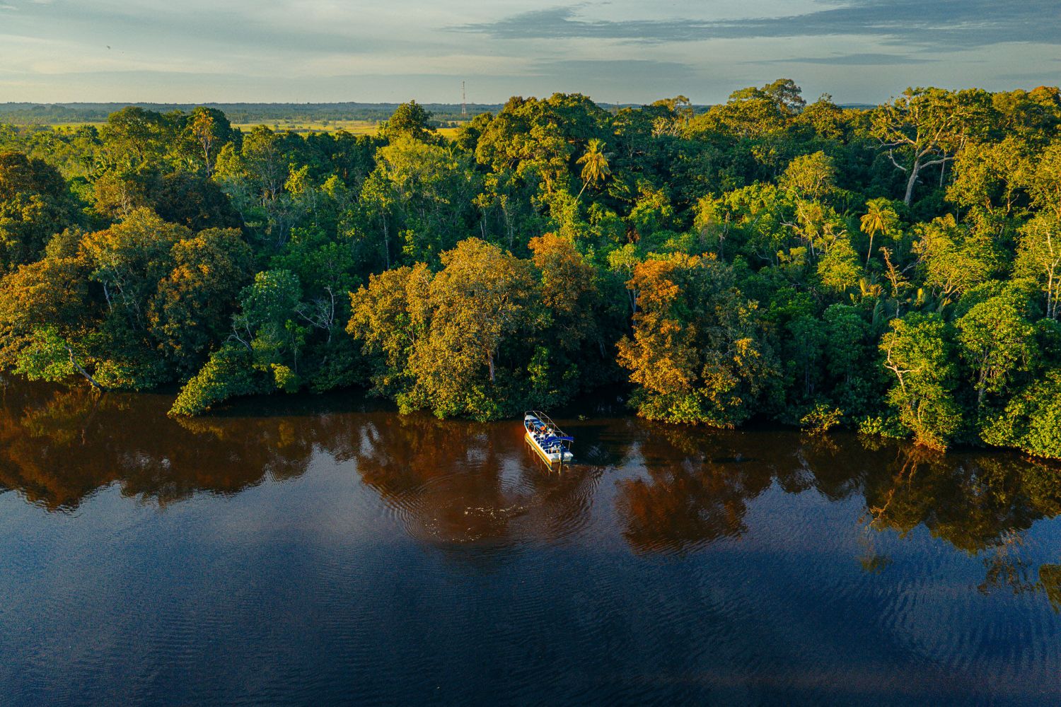 沙巴婆羅洲隱奢新地標登場 Club Med全包式度假開放預訂 (8)