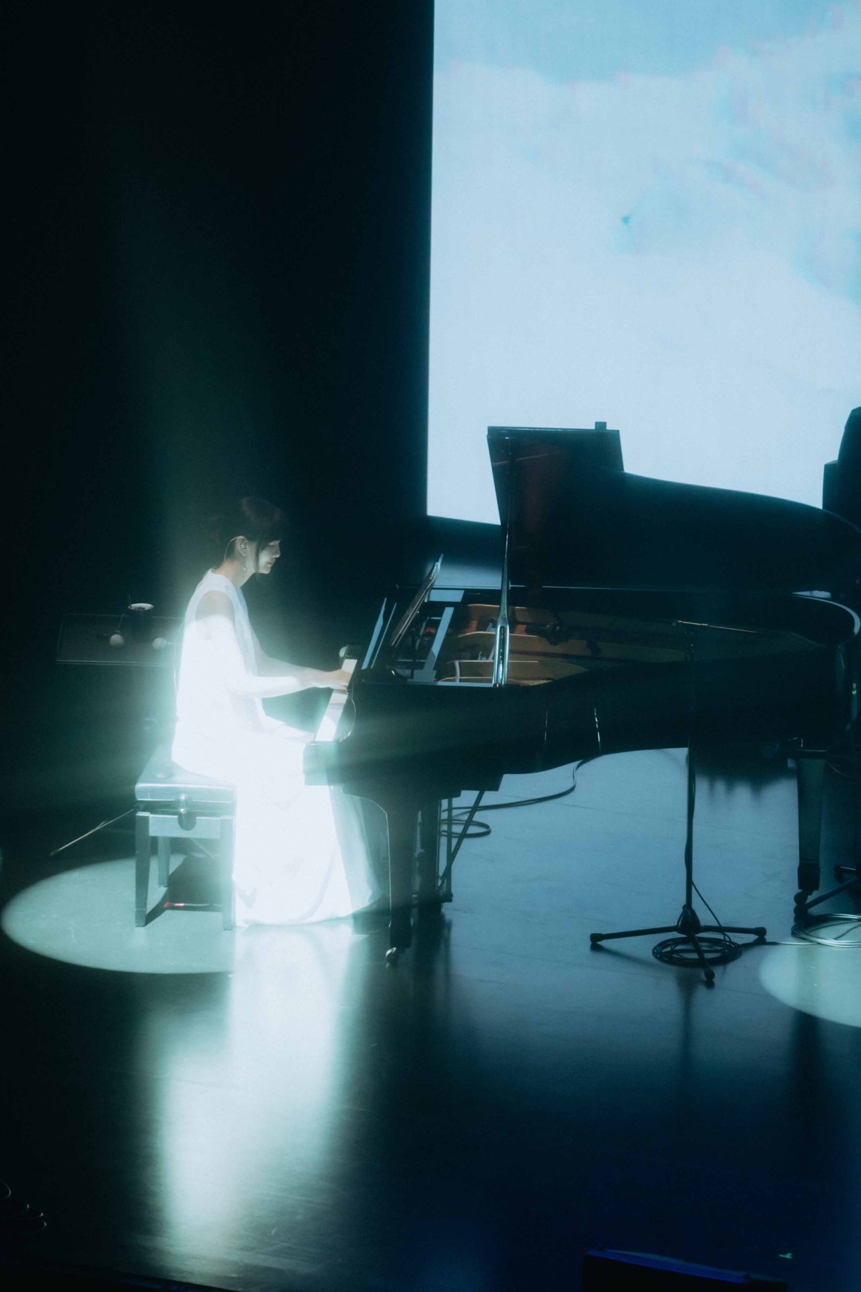 Cicada《凝視白色的邊界》巡演落幕　冰川影像與音樂交織震撼登場 (5)