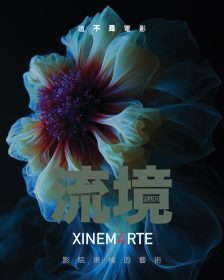 XINEMARTE台北啟動沉浸式電影藝術平台 首章《Fluid》6月登場